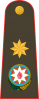 大将
