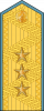 中将
