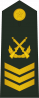 陆军二级军士长