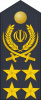 上将