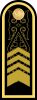 海军一级军士长
