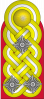大将