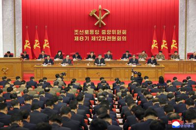 朝鲜劳动党八届十二中全会