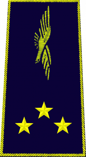 Général de division aérienne.png