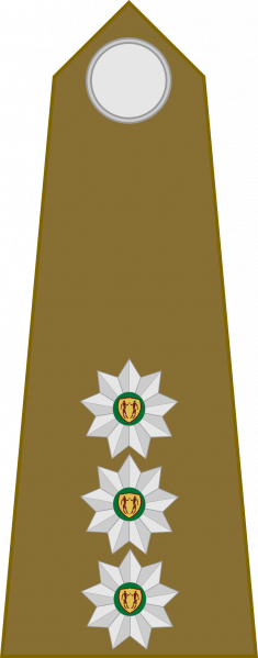 文件:Captain, SA Leër.png