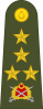 上将