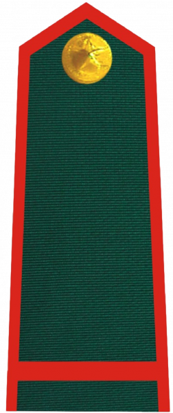 文件:Hạ sĩ, Biên phòng.png