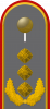 中将