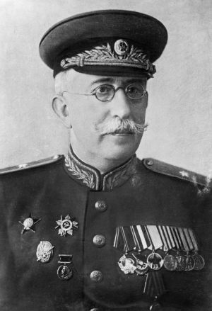 Семён Алекса́ндрович Черне́цкий.jpg