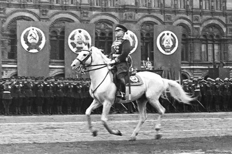 文件:G. K. Zhukov riding a white horse on 1945 Victory Parade.jpg