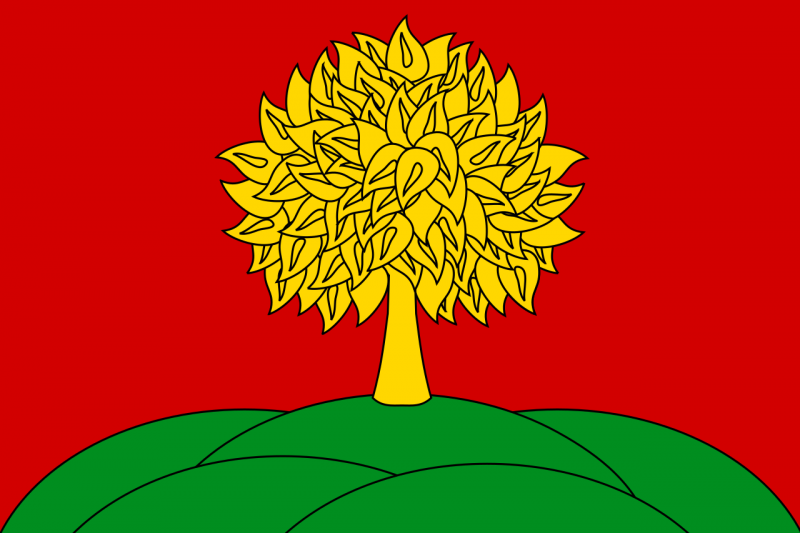 文件:Flag of Lipetsk Oblast.png