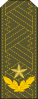 少将