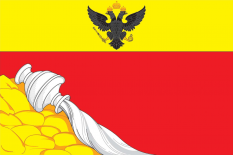 沃罗涅日市旗