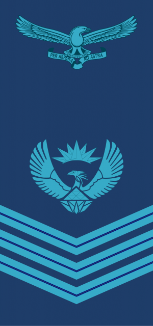 Flight sergeant, SA Vloot.png
