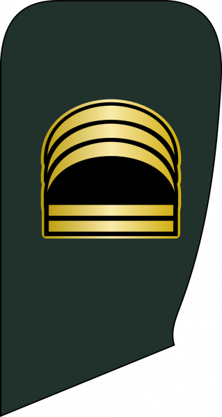 文件:Razmdar yekom pasdar.png