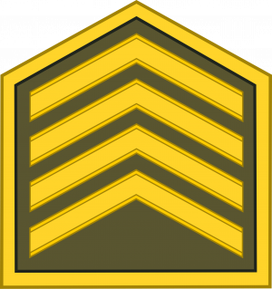Sargento de Segunda, Ejército Revolucionario.png