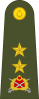少将