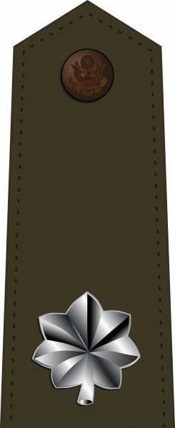 文件:Lieutenant colonel, US Army.png