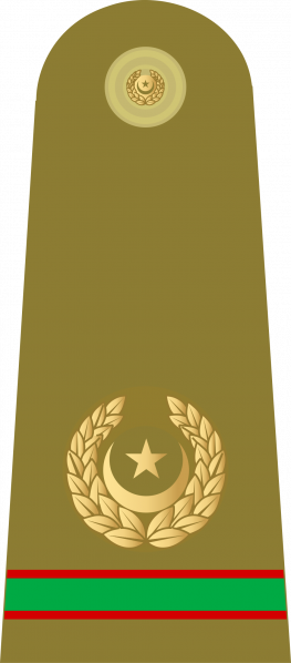 文件:Subedar-major Pak Army.png