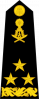 中将
