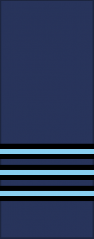 Wing Commander, RAF.png