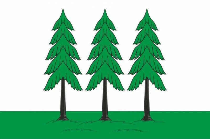 文件:Flag of Elnya.png