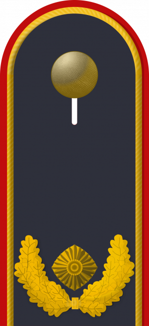 Brigade­general, Luftwaffe Bundeswehr.png