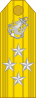 上将