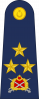 中将