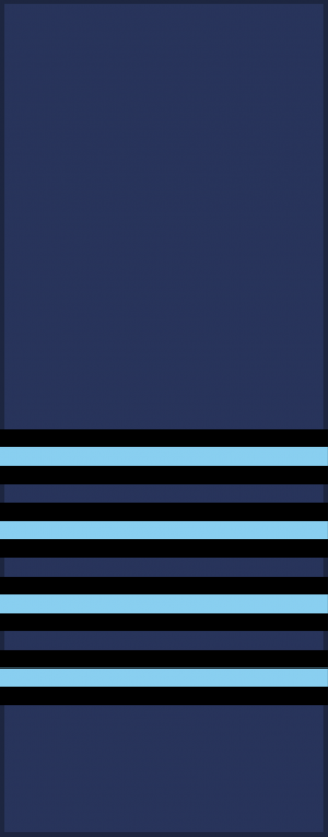 Group Captain, RAF.png