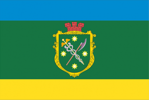 Flag of Berdichev.png