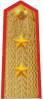中将
