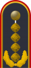 上将