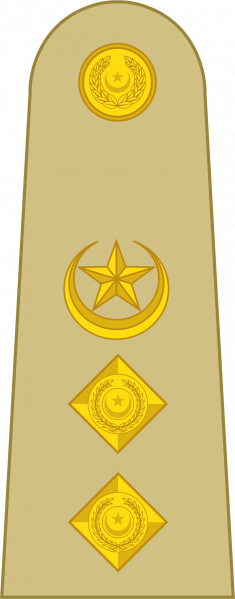 文件:Colonel Pak Army.png