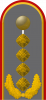 上将