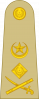 陆军上将