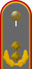 少将