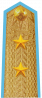 中将