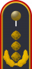 中将