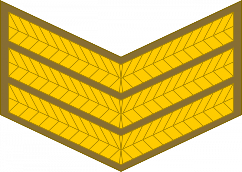 文件:Sergeant, SA Leër.png