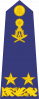 少将