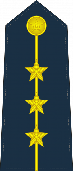 文件:空军上尉肩章.png