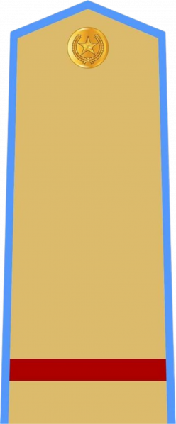 文件:Hạ sĩ, Phòng không – Không quân.png