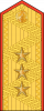 中将
