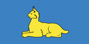 Flag of Gomel.png