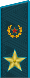 大将