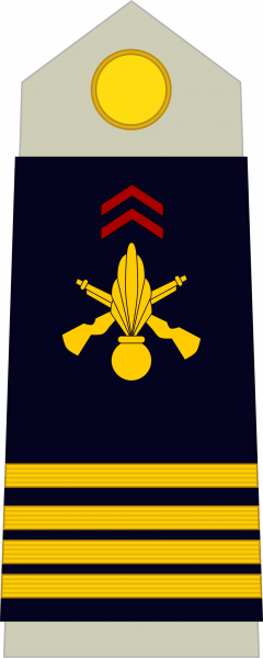 文件:Commandant, Armée de terre.png