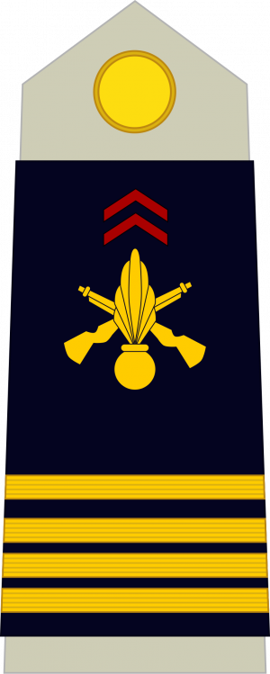 Commandant, Armée de terre.png
