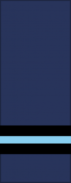 文件:Air Commodore, RAF.png