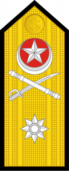 文件:Commodore Pak Navy.png